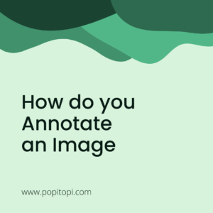 Read more about the article How do you Annotate an Image