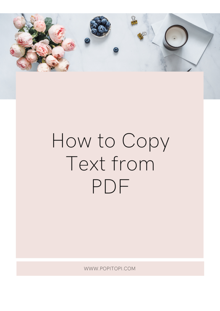 PDF to Text