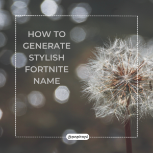 Read more about the article How to Generate Stylish Fortnite Name